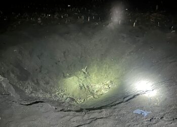 Elemente ale unei posibile drone, identificate în Insula Mare a Brăilei
