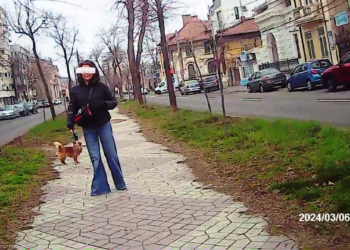 Noi amenzi date de polițiștii locali brăileni pentru încălcarea normelor de conduită socială
