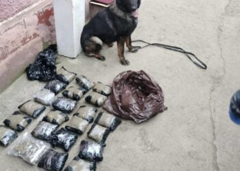 Femeie de 87 de ani implicată într-un dosar de trafic de droguri de risc și mare risc