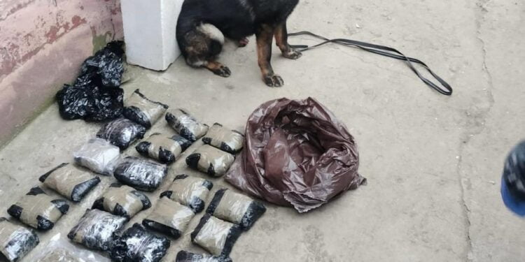 Femeie de 87 de ani implicată într-un dosar de trafic de droguri de risc și mare risc