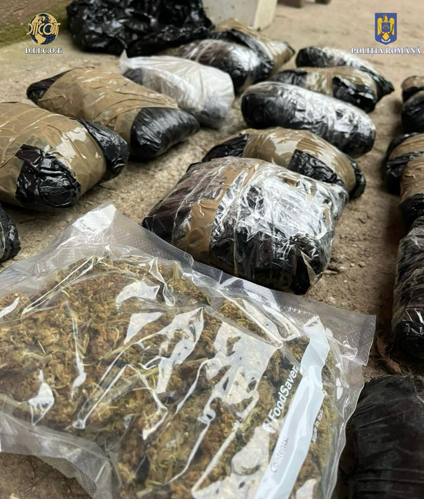 Imagine WhatsApp 2024 03 01 la 12.11.56 c53bccf0