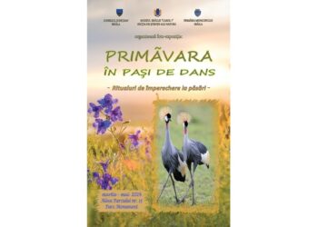 Foto-expoziție la Secția de Științe ale Naturii a Muzeului Brăilei: „Primăvara, în pași de dans – ritualuri de împerechere la păsări”