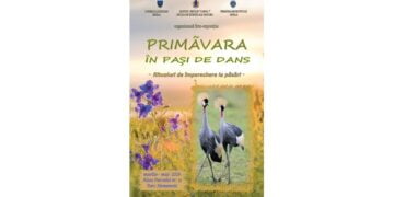 Foto-expoziție la Secția de Științe ale Naturii a Muzeului Brăilei: „Primăvara, în pași de dans – ritualuri de împerechere la păsări”