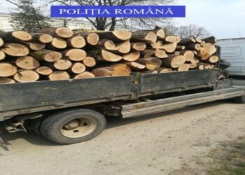 Patru angajați ai unei firme de pe raza de competență a Poliției Orașului Făurei, acuzați de fals informatic