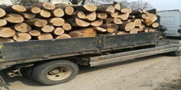 Patru angajați ai unei firme de pe raza de competență a Poliției Orașului Făurei, acuzați de fals informatic