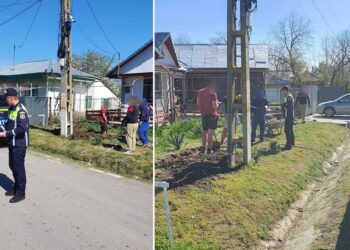 Acțiune de informare a cetățenilor, deținători de animale de companie, desfășurată de polițiștii brăileni