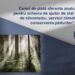 APIA primește Cereri de plată aferente anului 2024 pentru schema de ajutor de stat „Servicii de silvomediu, servicii climatice și conservarea pădurilor” 21 APIA primește Cereri de plată aferente anului 2024 pentru schema de ajutor de stat „Servicii de silvomediu, servicii climatice și conservarea pădurilor”