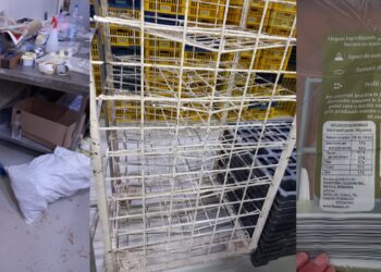Sancțiuni aplicate de comisarii CJPC Brăila în urma unui control la fabrica de pâine și punctul de desfacere, din incinta SC Frontera Trading SRL