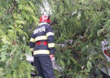 Mașini avariate de copacii doborâți de vântul puternic în municipiul Brăila