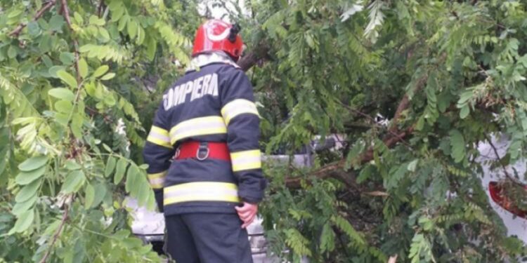 Mașini avariate de copacii doborâți de vântul puternic în municipiul Brăila