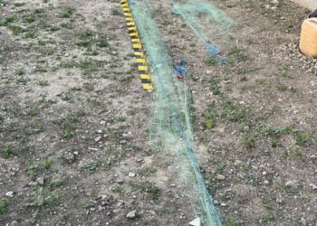 Percheziții în Chiscani și Gropeni la persoane bănuite de fapte braconaj piscicol