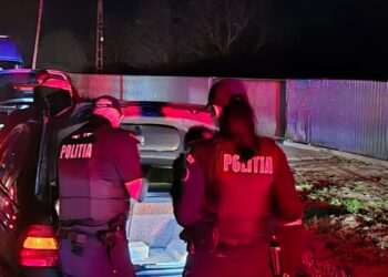 Ample acțiuni desfășurate în cursul zilei de vineri de polițiștii brăileni
