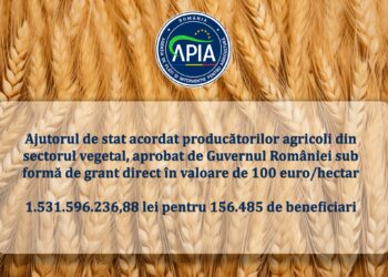 Sprijin financiar în valoare de peste 1.53 miliarde lei pentru producătorii agricoli din sectorul vegetal