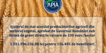 Sprijin financiar în valoare de peste 1.53 miliarde lei pentru producătorii agricoli din sectorul vegetal