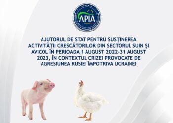 Sprijin financiar în valoare de peste 322 milioane lei pentru susținerea activității crescătorilor din sectorul suin și avicol în contextul crizei provocate de agresiunea Rusiei împotriva Ucrainei