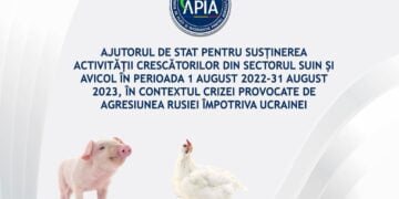Sprijin financiar în valoare de peste 322 milioane lei pentru susținerea activității crescătorilor din sectorul suin și avicol în contextul crizei provocate de agresiunea Rusiei împotriva Ucrainei