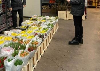 Controale ale inspectorilor ITM la angajatorii care au ca obiecte de activitatea cultivarea și comercializarea florilor