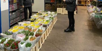 Controale ale inspectorilor ITM la angajatorii care au ca obiecte de activitatea cultivarea și comercializarea florilor