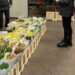 Controale ale inspectorilor ITM la angajatorii care au ca obiecte de activitatea cultivarea și comercializarea florilor