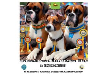 Prima competiție canină de frumusețe organizată în județul Brăila în ultimii 17 ani va avea loc în Tabăra Lacu Sărat, la finele acestei săptămâni