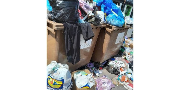 S-a găsit o asociere interesată să preia serviciile de salubritate în județul Brăila. Aceasta nu-și asumă însă și salubrizarea căilor publice din municipiu