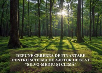 APIA primește Cereri de finanțare pentru schema de ajutor de stat „Silvo-mediu și climă”