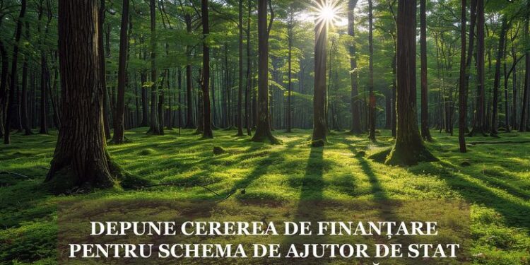 APIA primește Cereri de finanțare pentru schema de ajutor de stat „Silvo-mediu și climă”