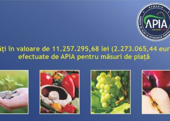 Plăți de peste 11,2 milioane lei (2,2 milioane euro) pentru măsuri de piață