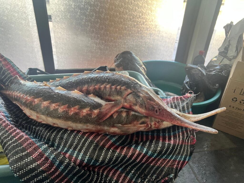 Imagine WhatsApp 2024 06 01 la 09.34.04 b30529ae