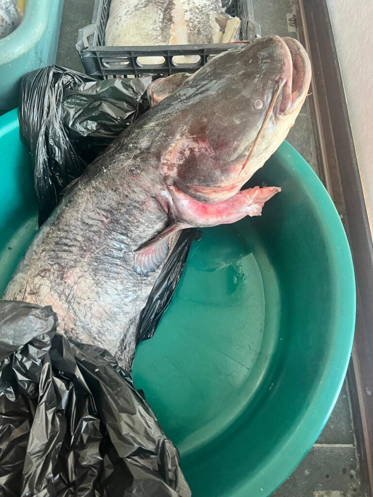 Imagine WhatsApp 2024 06 01 la 09.34.05 476970d6