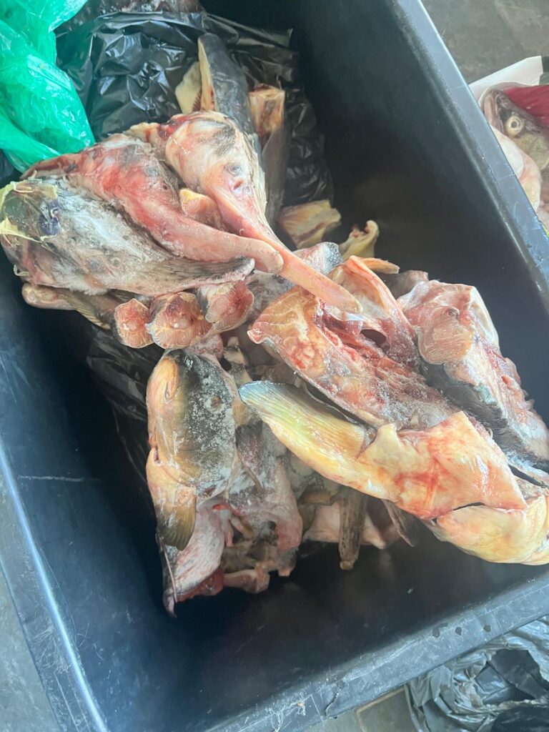 Imagine WhatsApp 2024 06 01 la 09.34.05 a756092d