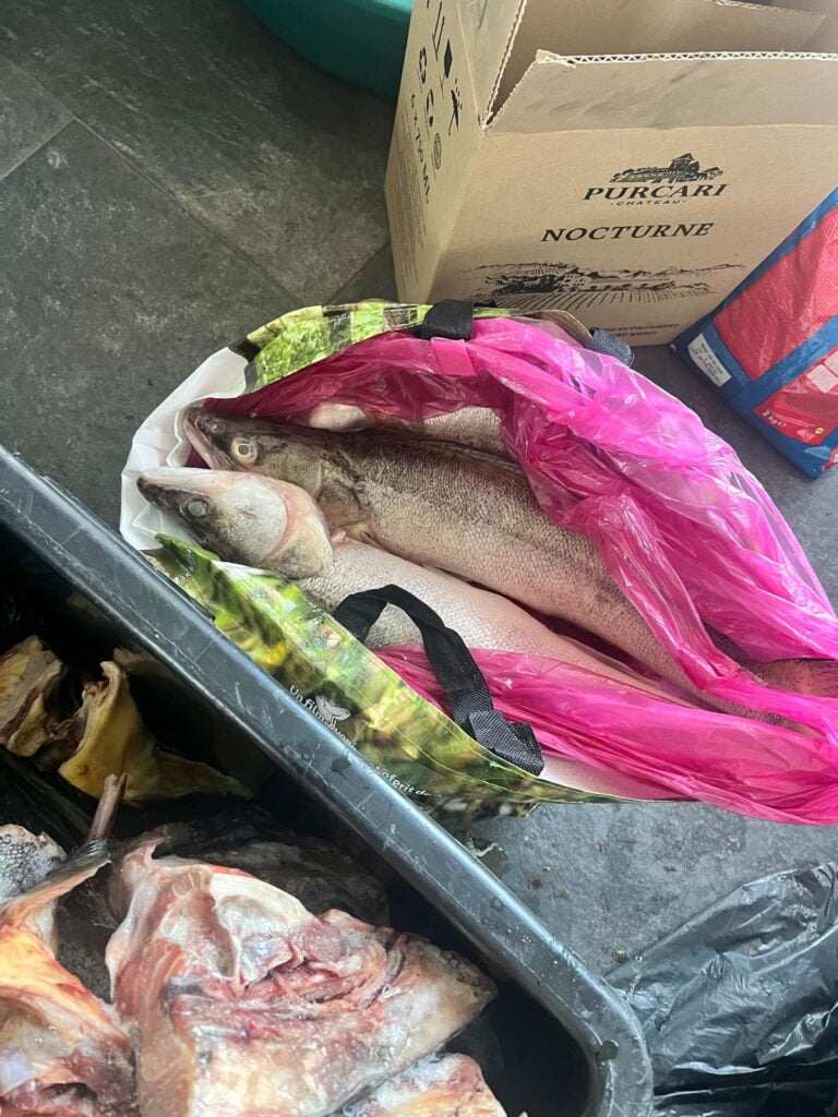 Imagine WhatsApp 2024 06 01 la 09.34.05 c1d07e29