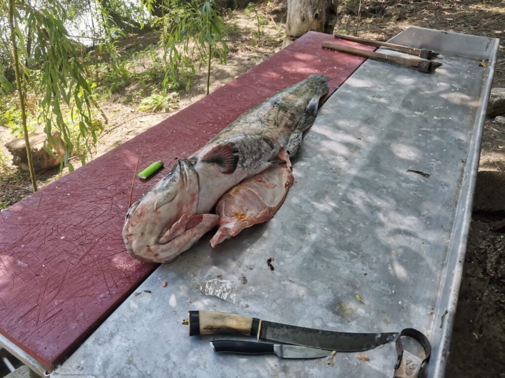 Imagine WhatsApp 2024 06 01 la 09.34.06 83d43b72