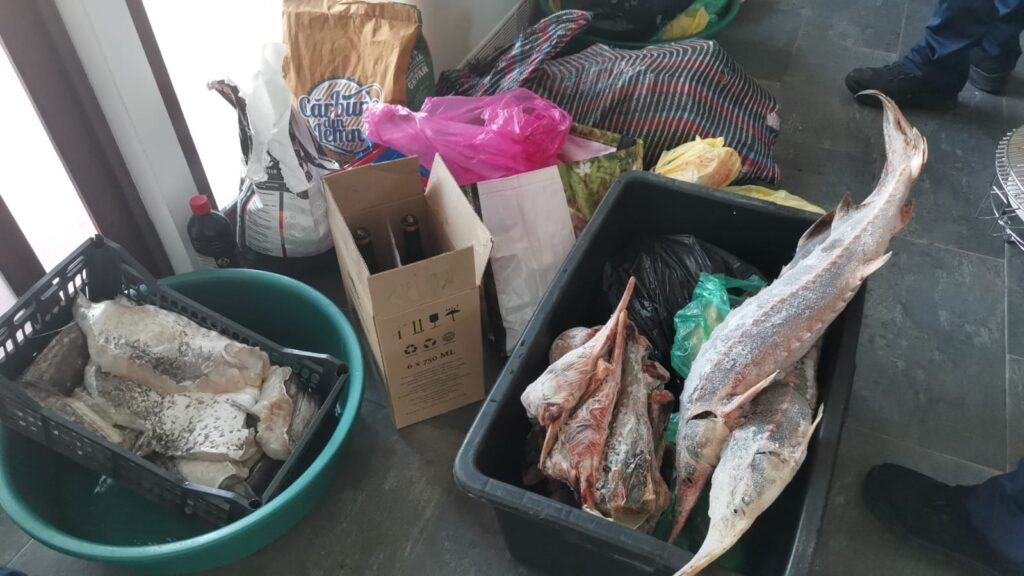 Imagine WhatsApp 2024 06 01 la 09.34.06 b17c8a4c