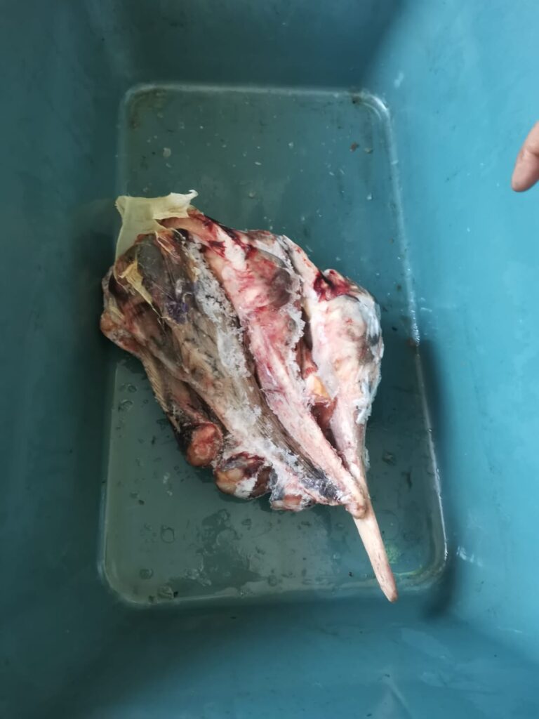 Imagine WhatsApp 2024 06 01 la 09.34.07 1f742f94