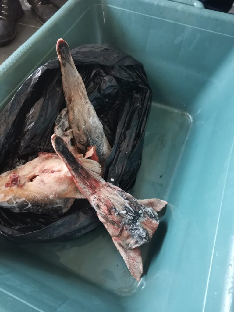 Imagine WhatsApp 2024 06 01 la 09.34.07 72f4ce71