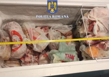 Percheziții la persoane bănuite de braconaj cinegetic. A vânat doi mistreți pe care i-a vândut altor persoane