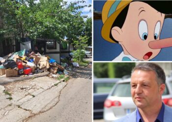 Marius Mitescu (PNL): ”Concluzii amare și cu miros rânced și fetid de gunoi expus la 34 de grade Celsius”