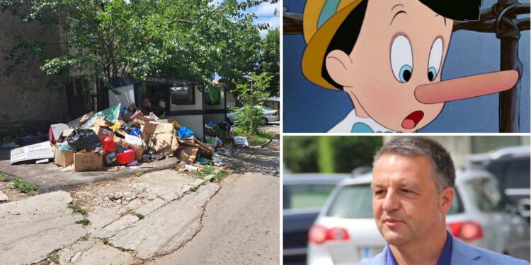 Marius Mitescu (PNL): ”Concluzii amare și cu miros rânced și fetid de gunoi expus la 34 de grade Celsius”