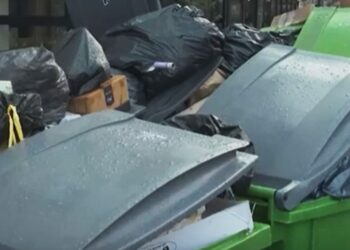 Stați liniștiți, primarul Dragomir veghează pentru dvs! V-a spus deja: „Vom rezolva problema gunoiului!”