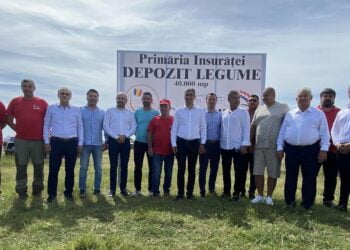 De ce ai construi un centru de colectare a legumelor la mare distanță de principalul bazin legumicol din zonă? De dragul lui Vasilică Priceputu
