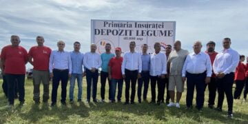 De ce ai construi un centru de colectare a legumelor la mare distanță de principalul bazin legumicol din zonă? De dragul lui Vasilică Priceputu