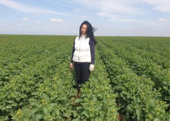 Nina Gheorghiță, fermier din județul Brăila: ”De două săptămâni avem mari probleme cu apa în județul Brăila”