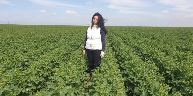 Nina Gheorghiță, fermier din județul Brăila: ”De două săptămâni avem mari probleme cu apa în județul Brăila”