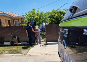 Acțiune a polițiștilor brăileni ce vizează deținătorii de animale de companie