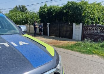 Acțiune a polițiștilor brăileni pentru informarea deținătorilor de animale de companie din Movila Miresii