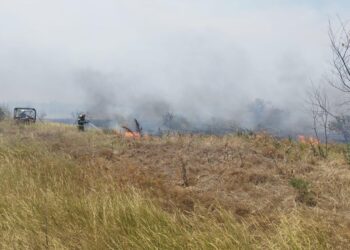 Jandarmii brăileni solicitați să îndepărteze persoanele aflate în zona cuprinsă de incendiu în apropierea Pădurii Stejaru