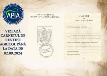 2 septembrie 2024 este termenul final de vizare a carnetelor de rentă viageră