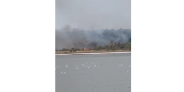 Incendiu de vegetație pe malul Lacului Sărat