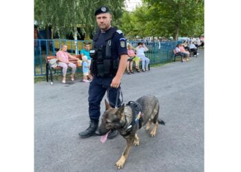În perioada 15 – 18 august jandarmii brăileni au aplicat 26 de amenzi, în valoare totală de 12.800 lei